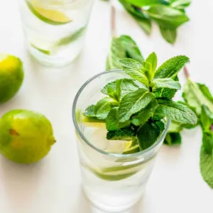 FRESH LIME MINT